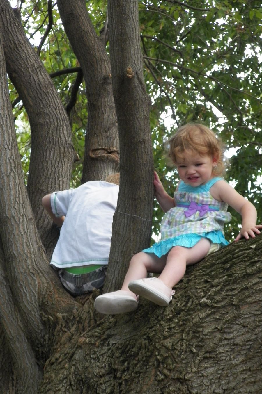 Hanging in the tree with her brother