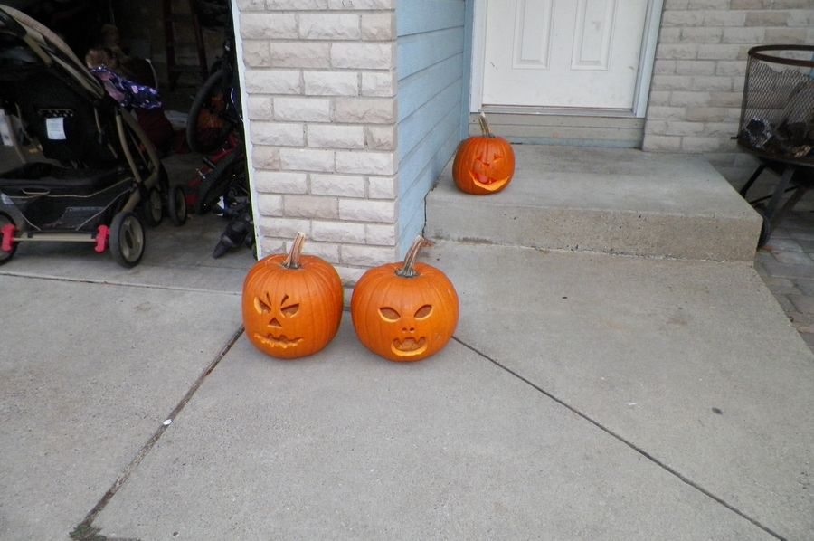 Our pumpkins came along for the ride