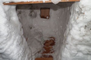 The inside of their snow structure looks so cozy!