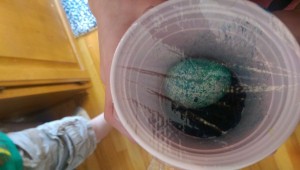 Ken and the boys tried something we saw on Facebook... rice and food colouring in a cup then shake... it worked!