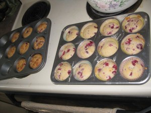 Raspberry Muffins (next time NO papers - bad idea)