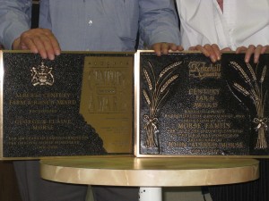 The Plaques
