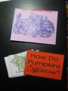 Halloween Card and Pumpkin Life Cycle