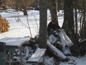 Gavin in the Wood Pile