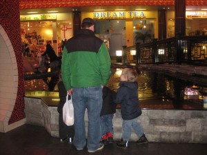 Checking out the Fish in Front of T&T (Zander right)